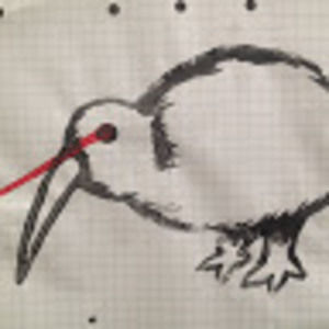 Meet your Posher, A. lee